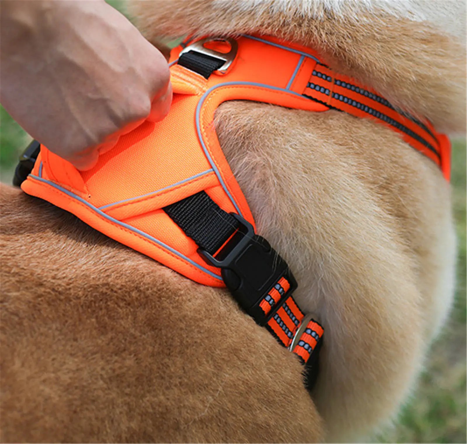 Arnés impermeable para perro