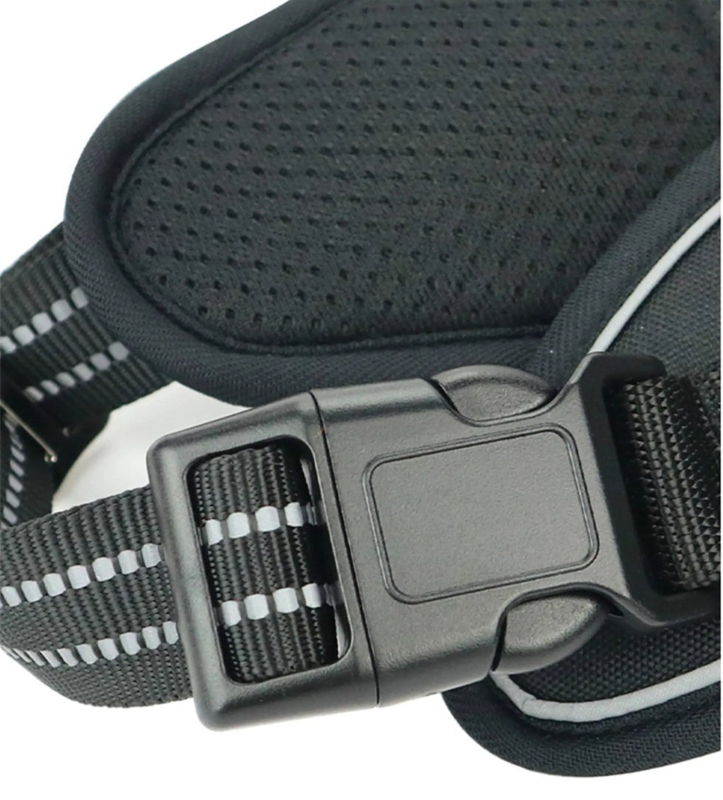 Arnés impermeable para perro