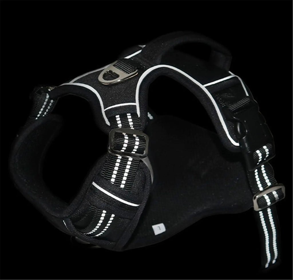 Arnés impermeable para perro