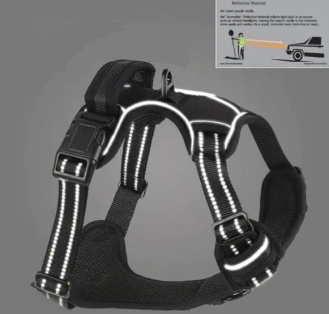 Arnés impermeable para perro