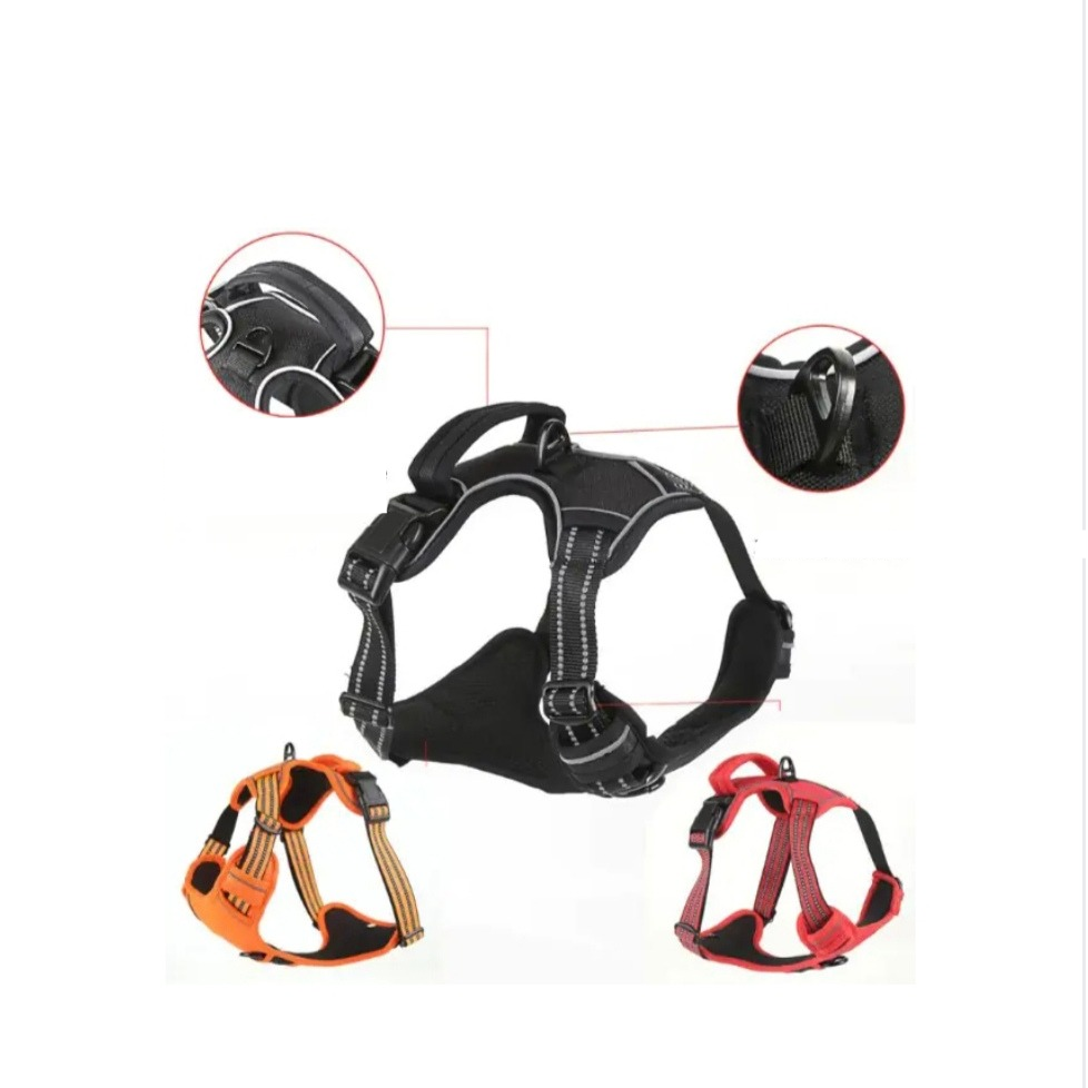 Arnés impermeable para perro