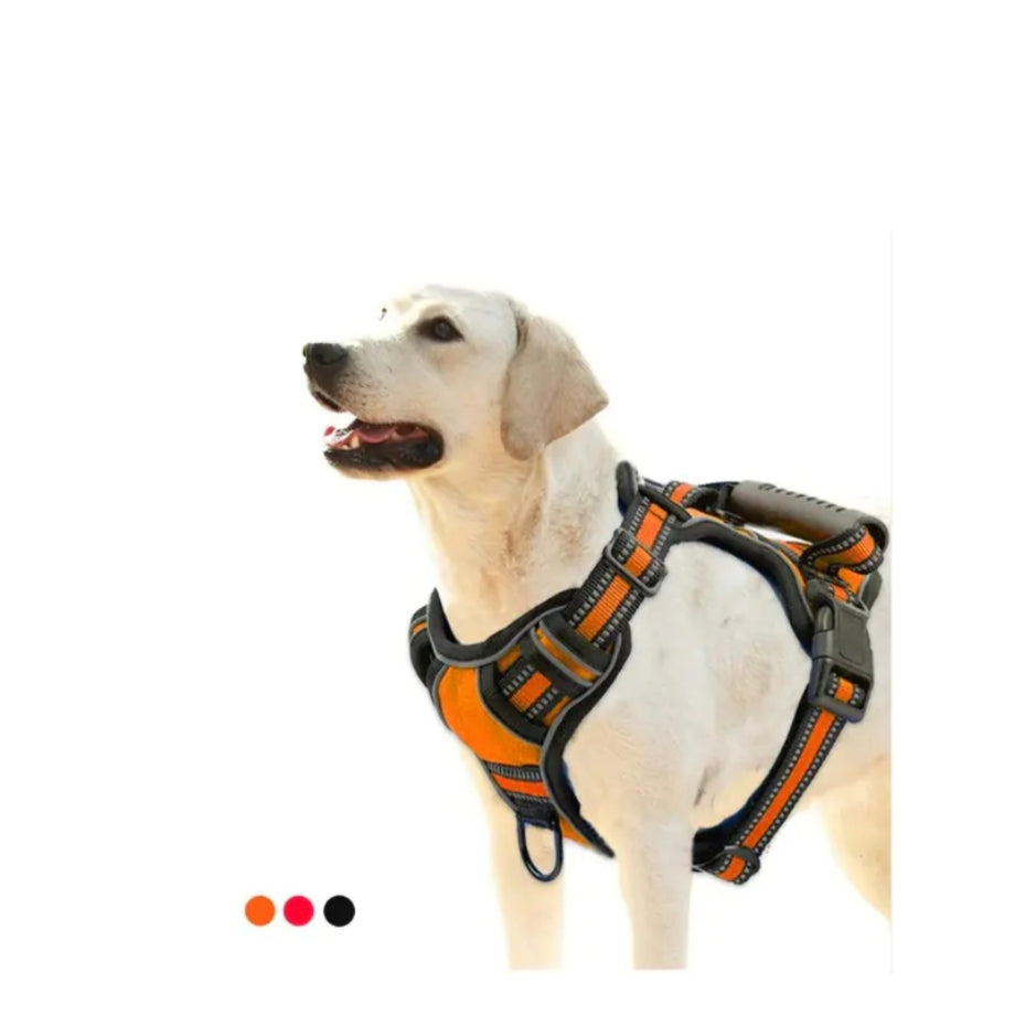 Arnés impermeable para perro