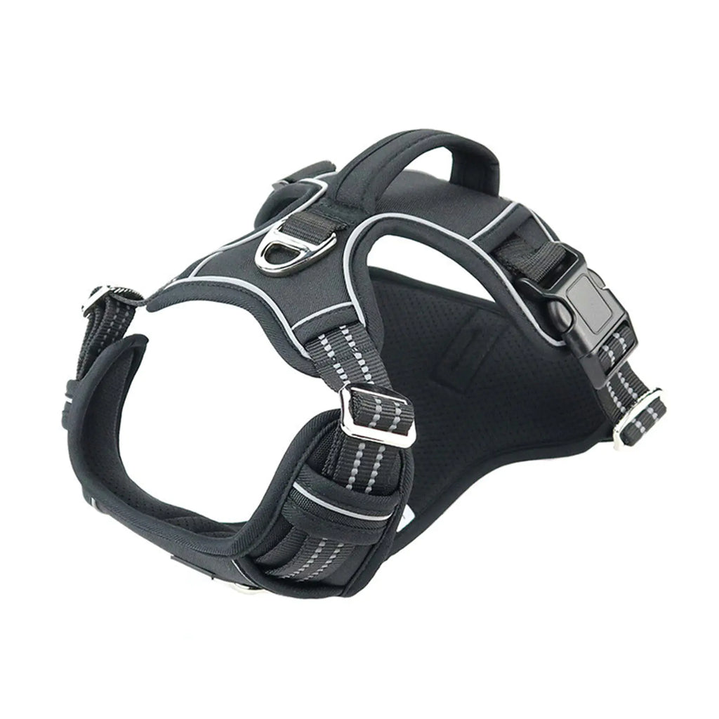 Arnés impermeable para perro